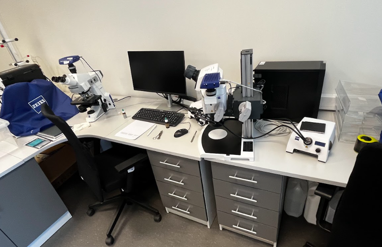 Europe's biggest laboratory