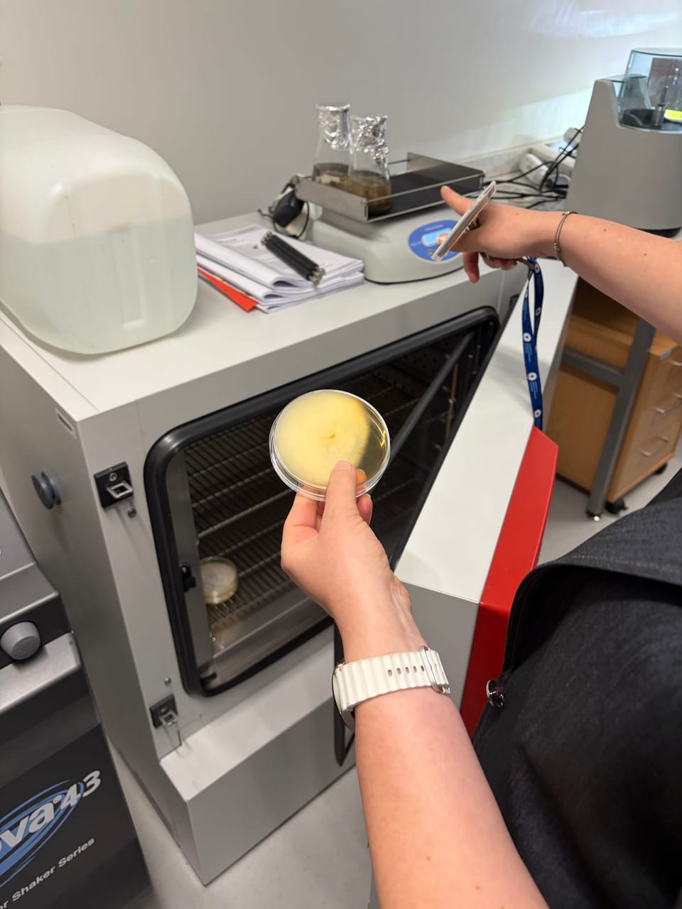 Microbes, Membranes, and the Future of Water